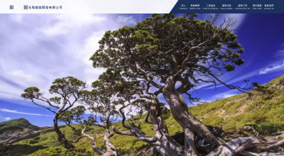 元周建築開發 網頁設計案例